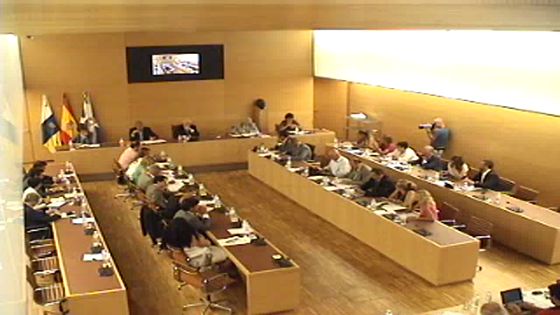 Imagen de Pleno extraordinario del Cabildo de Tenerife, 14 de agosto de 2013