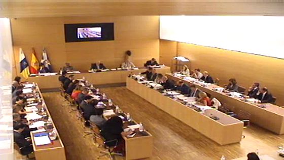 Imagen de Pleno ordinario del Cabildo de Tenerife, 25 de mayo de 2012