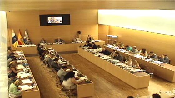 Imagen de Pleno ordinario del Cabildo de Tenerife, 29 de junio de 2012
