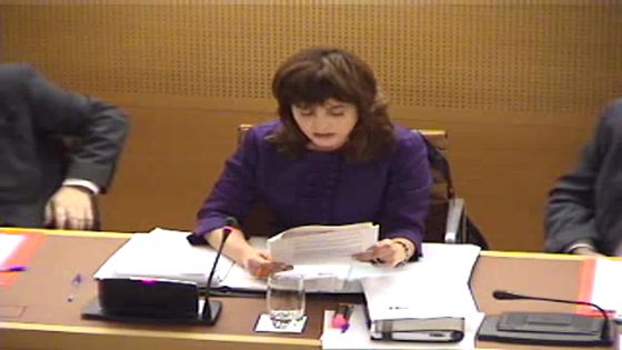Imagen de Pleno ordinario del Cabildo de Tenerife, 25 de marzo de 2011