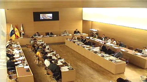Imagen de Pleno ordinario del Cabildo de Tenerife, 30 de julio de 2010