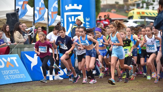 Imagen de El debut del campo a través de los XXIX Juegos Cabildo congrega a 700 corredores en Tegueste