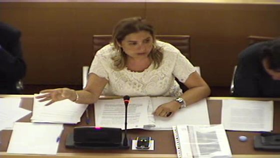 Imagen de Pleno ordinario del Cabildo de Tenerife, 29 de octubre de 2010
