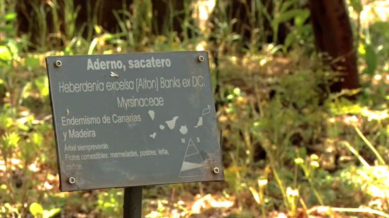 Imagen de Vídeo promocional. Preservación de la biodiversidad