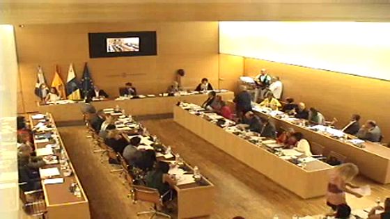 Imagen de Pleno ordinario del Cabildo de Tenerife, 2 de junio de 2014