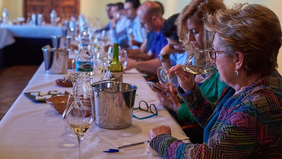Imagen de El Cabildo y diez bodegas presentan nuevos vinos blancos de alta gama a partir de variedades locales