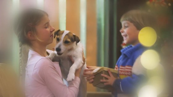 Imagen de Vídeo promocional. Campaña de animales en Navidad