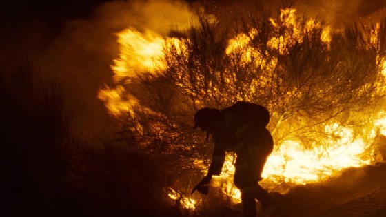 Imagen de TEA Tenerife Espacio de las Artes proyecta este fin de semana Lo que arde, película premiada el Festival de Cine de Cannes