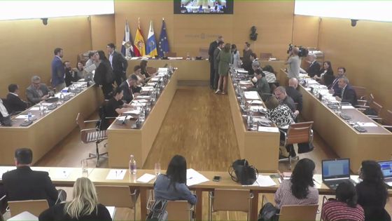 Imagen de Pleno ordinario del Cabildo de Tenerife, 29 de noviembre de 2019