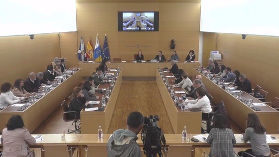 Imagen de Pleno extraordinario del Cabildo de Tenerife, 23 de enero de 2020