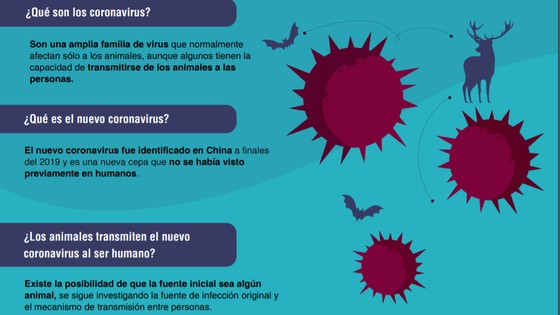 Imagen de Preguntas y respuestas sobre el nuevo coronavirus COVID-19