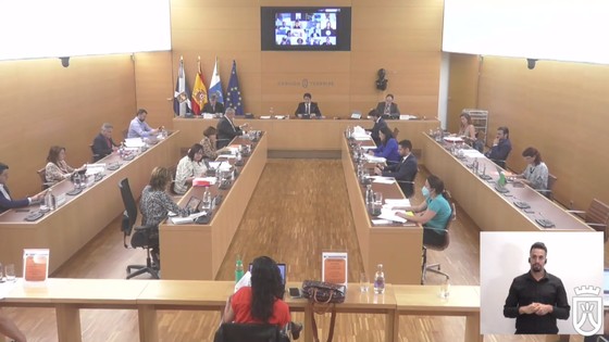 Imagen de Pleno extraordinario del Cabildo de Tenerife, 12 de junio de 2020