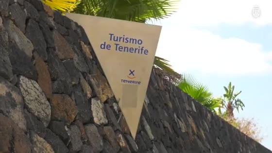 Imagen de Tenerife tendrá en octubre su diagnóstico y plan de acción para transformarse en destino inteligente