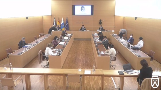 Imagen de Pleno ordinario del Cabildo de Tenerife, 27 de noviembre de 2020