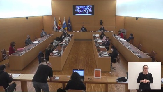 Imagen de Pleno ordinario trasladado a extraordinario del Cabildo de Tenerife, 24 de marzo de 2021