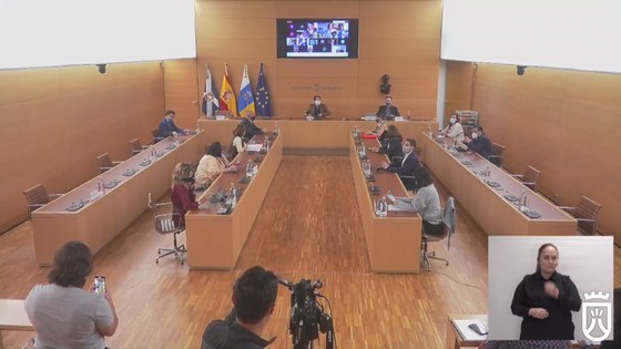 Imagen de Pleno extraordinario del Cabildo de Tenerife, 13 de abril de 2021