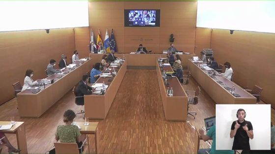 Imagen de Pleno ordinario del Cabildo de Tenerife, 25 de junio de 2021