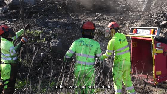 Imagen para Más de cien personas trabajan ya en la restauración de los montes afectados por el incendio del verano